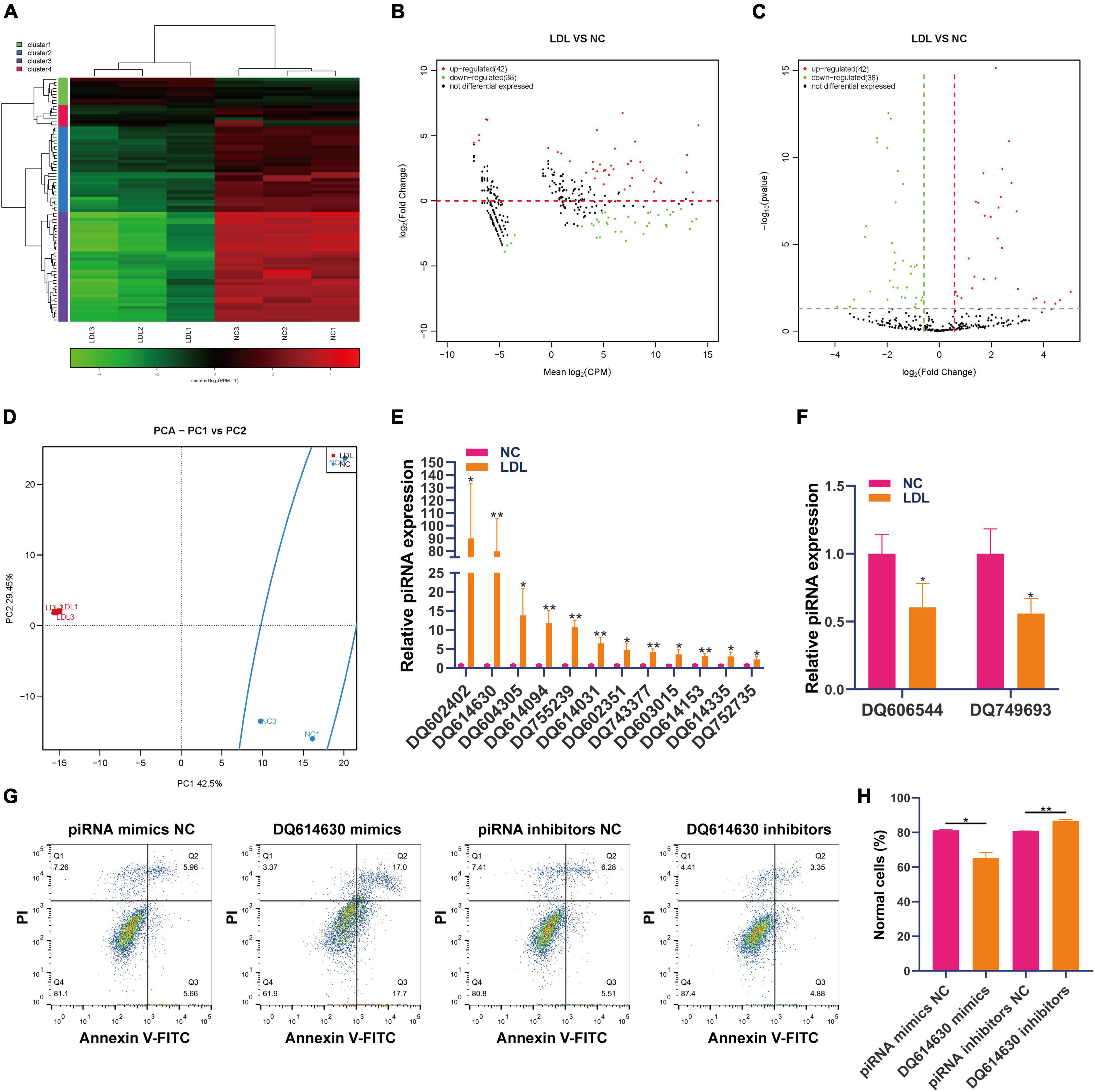 Ox-LDL induced profound changes of small non-coding RNA in rat endothelial cells